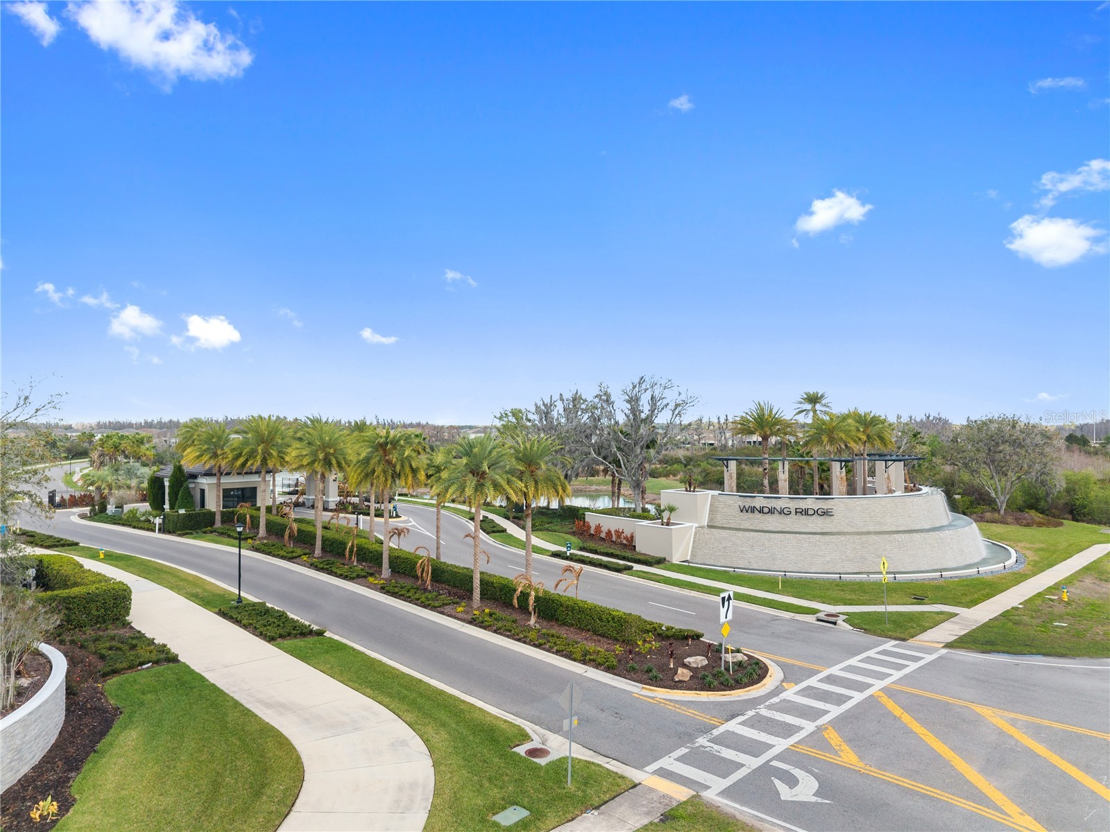 32558 Tree Of Life Avenue Wesley Chapel FL 33543 TB8490119 image47