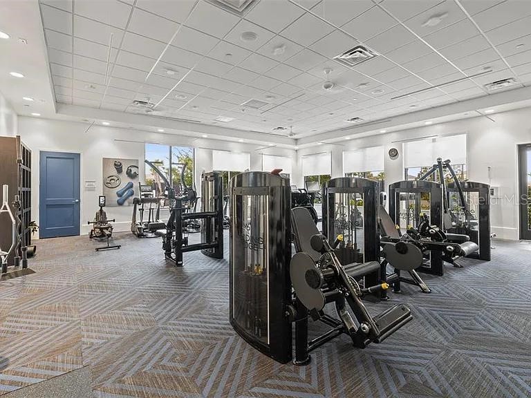 32558 Tree Of Life Avenue Wesley Chapel FL 33543 TB8490119 image48