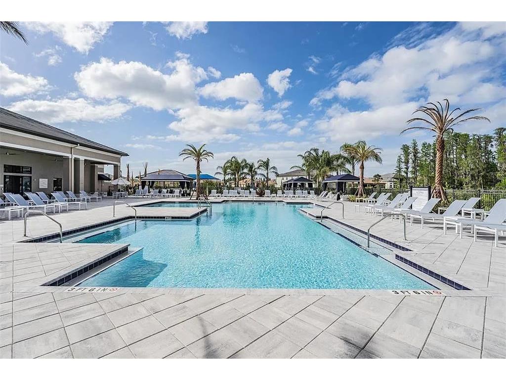 32558 Tree Of Life Avenue Wesley Chapel FL 33543 TB8490119 image53
