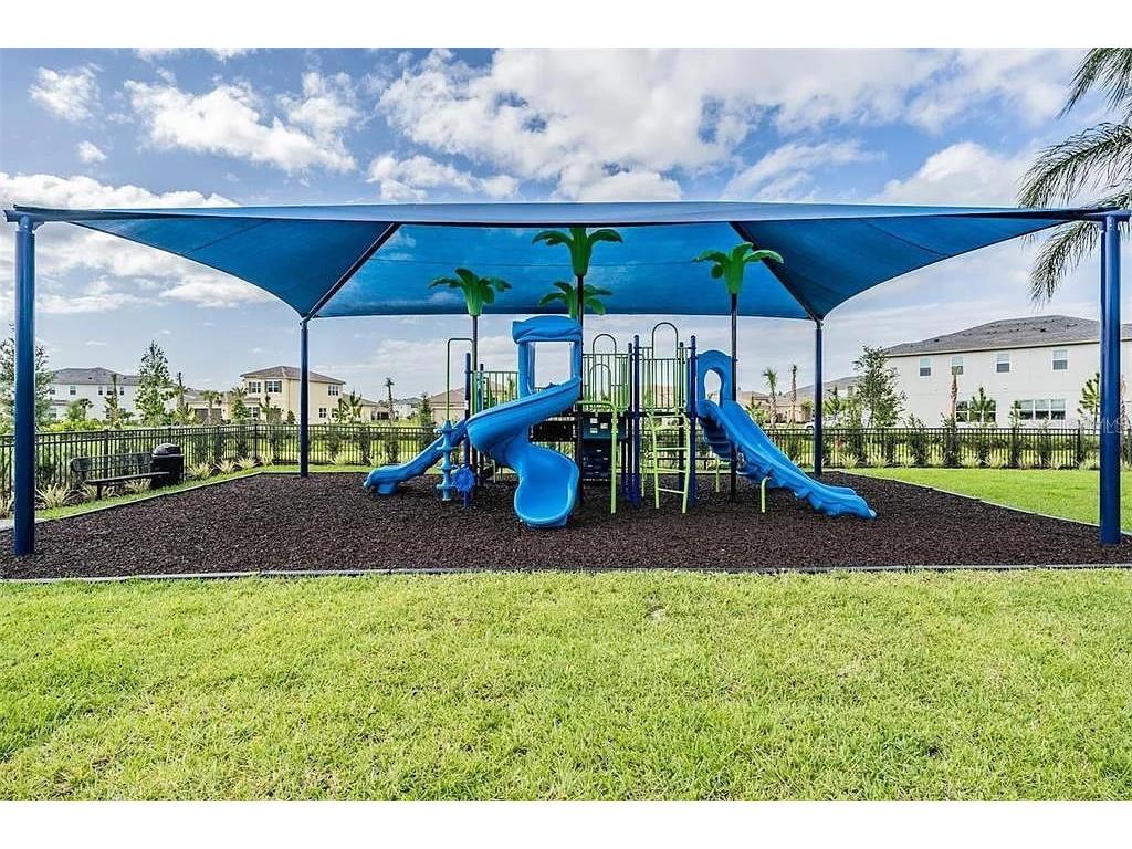 32558 Tree Of Life Avenue Wesley Chapel FL 33543 TB8490119 image55
