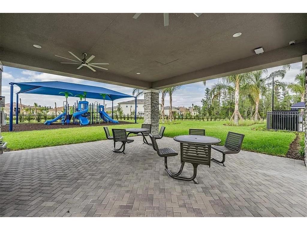 32558 Tree Of Life Avenue Wesley Chapel FL 33543 TB8490119 image56