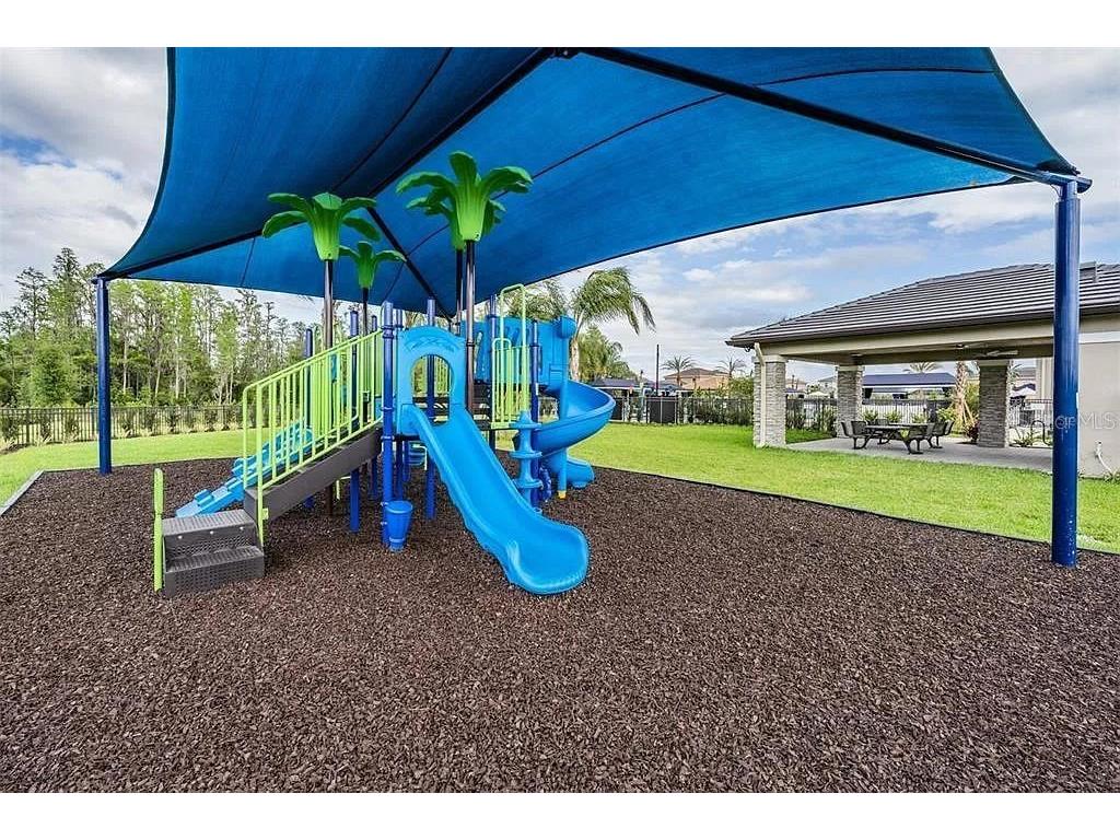 32558 Tree Of Life Avenue Wesley Chapel FL 33543 TB8490119 image57