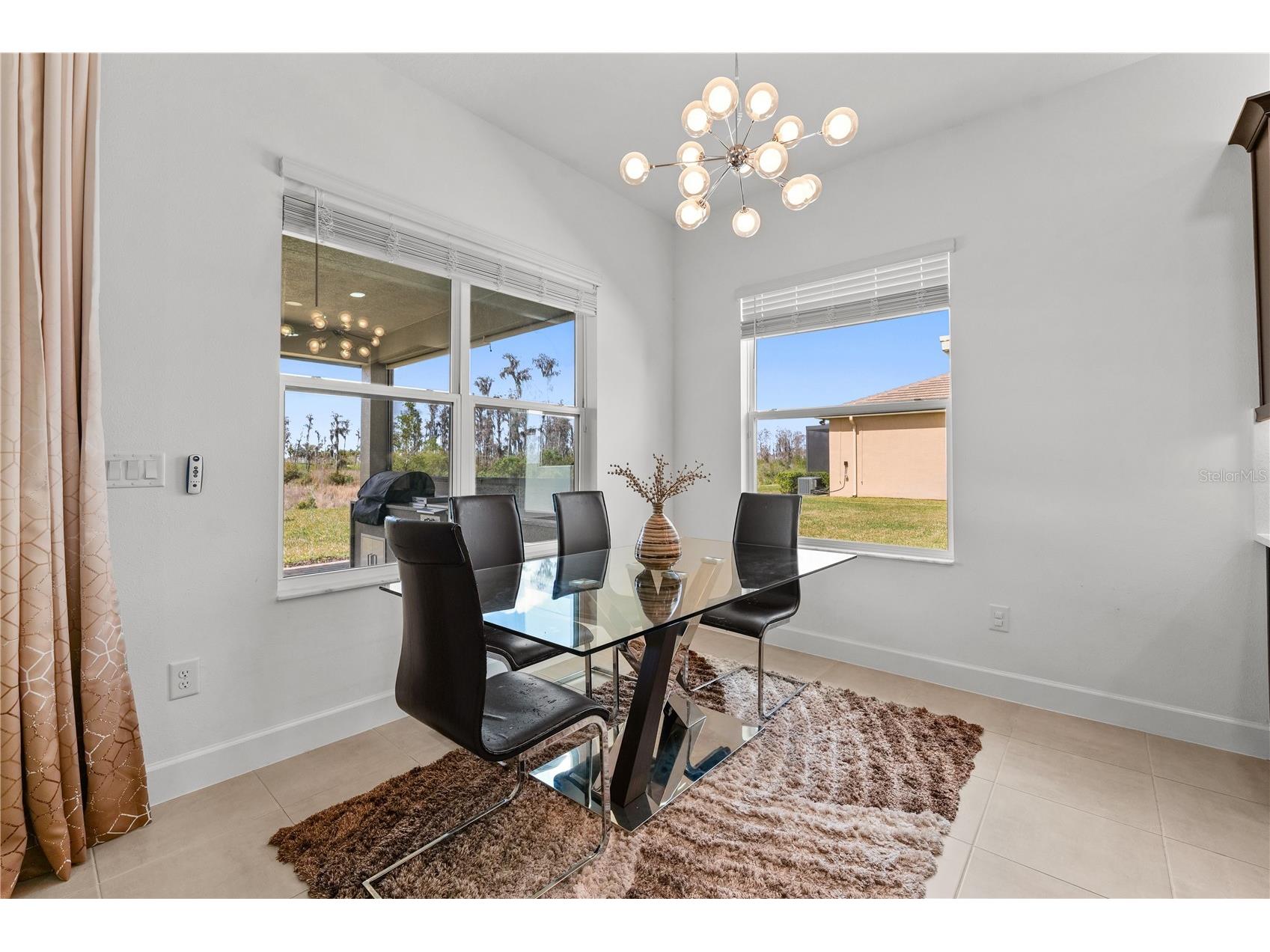 32558 Tree Of Life Avenue Wesley Chapel FL 33543 TB8490119 image9