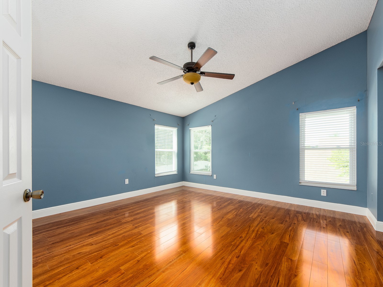 3256 Bentley Drive Palm Harbor FL 34684 TB8513921 image12