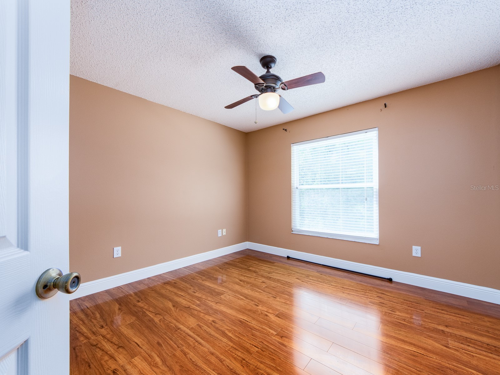 3256 Bentley Drive Palm Harbor FL 34684 TB8513921 image19