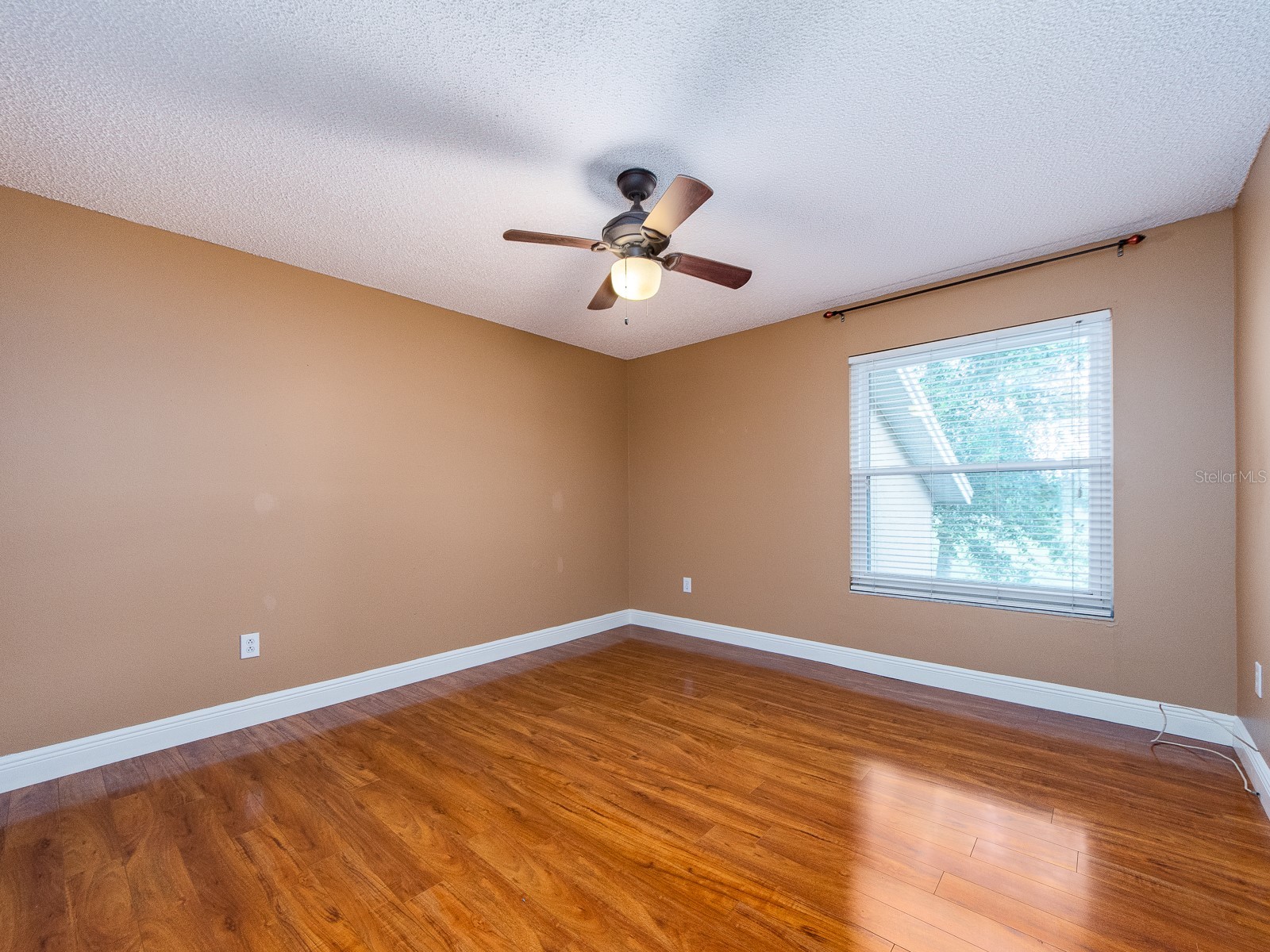 3256 Bentley Drive Palm Harbor FL 34684 TB8513921 image21
