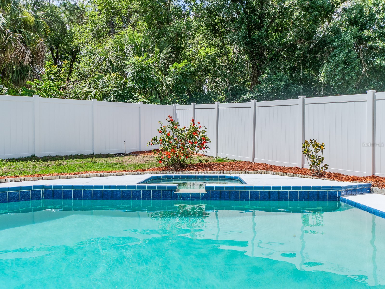 3256 Bentley Drive Palm Harbor FL 34684 TB8513921 image27