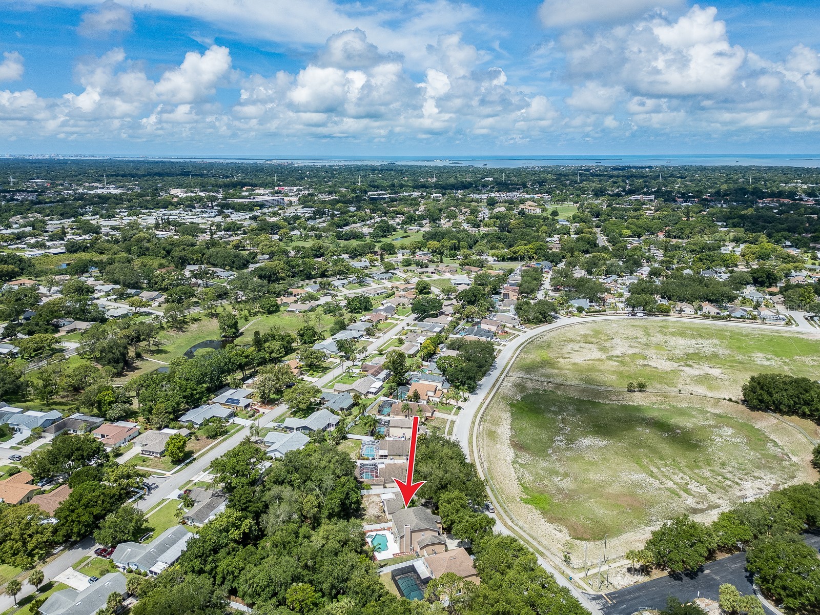 3256 Bentley Drive Palm Harbor FL 34684 TB8513921 image31