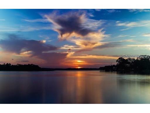3256 Bentley Drive Palm Harbor FL 34684 TB8513921 image38