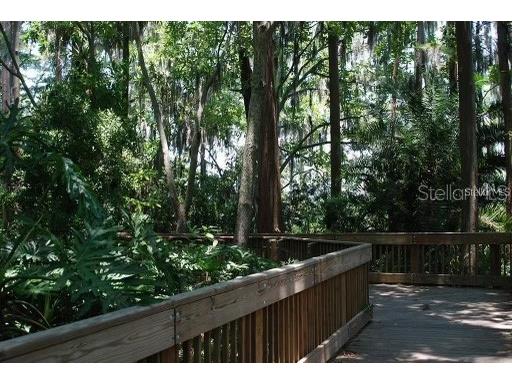 3256 Bentley Drive Palm Harbor FL 34684 TB8513921 image40