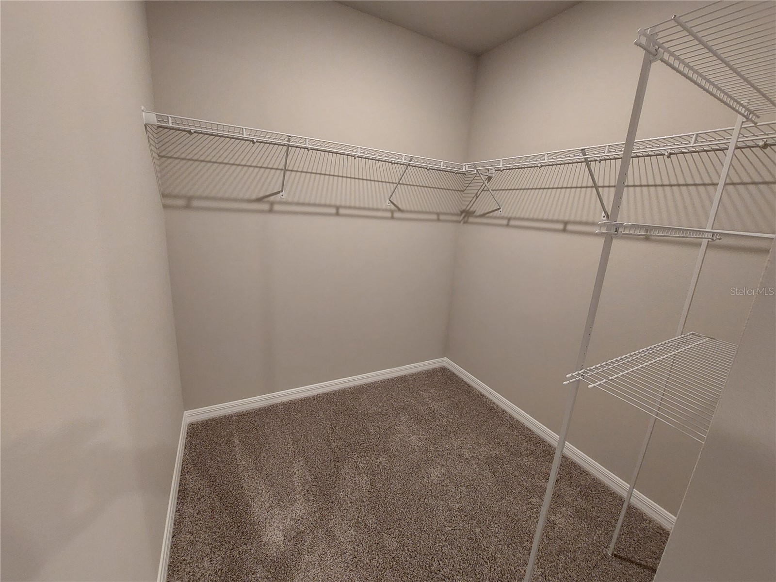 3256 Fresno Place Zephyrhills FL 33541 TB8518230 image5