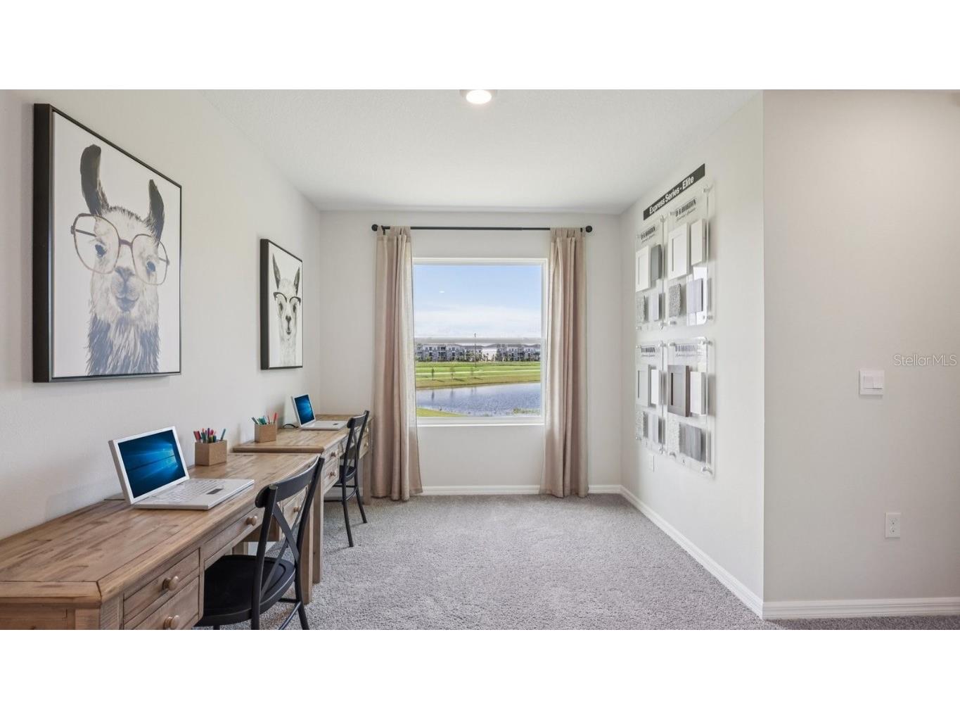 32563 Welling Blade Loop Wesley Chapel FL 33545 TB8446001 image15