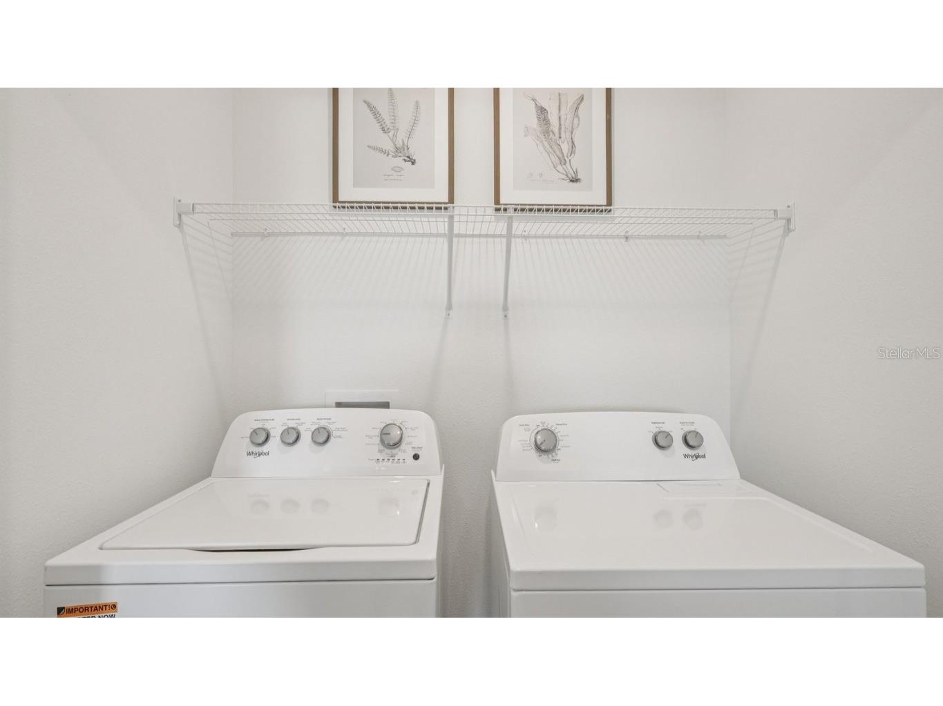 32563 Welling Blade Loop Wesley Chapel FL 33545 TB8446001 image29