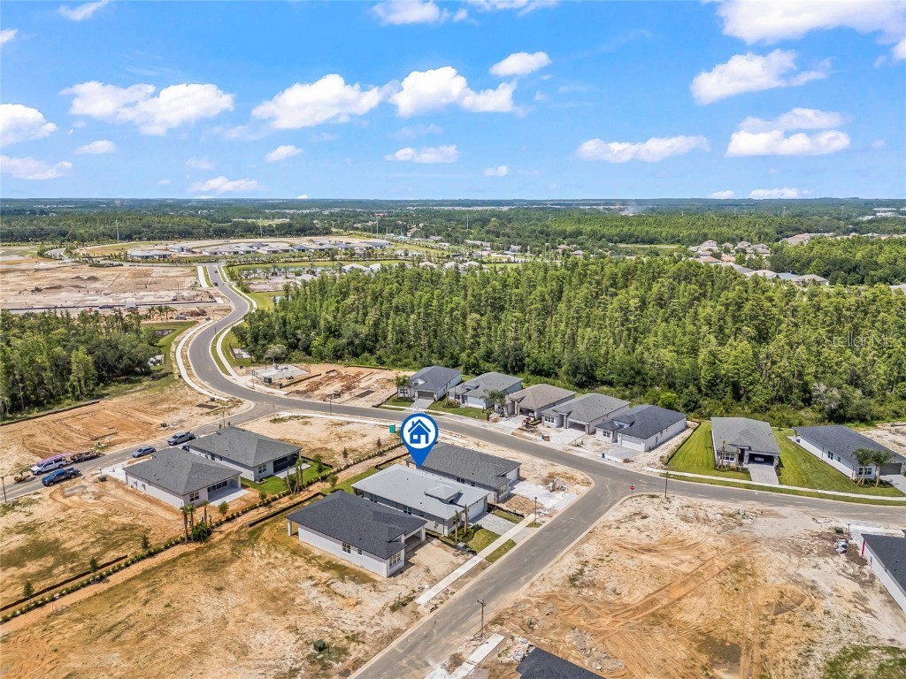 32565 Veneto Place Wesley Chapel FL 33543 TB8436739 image37