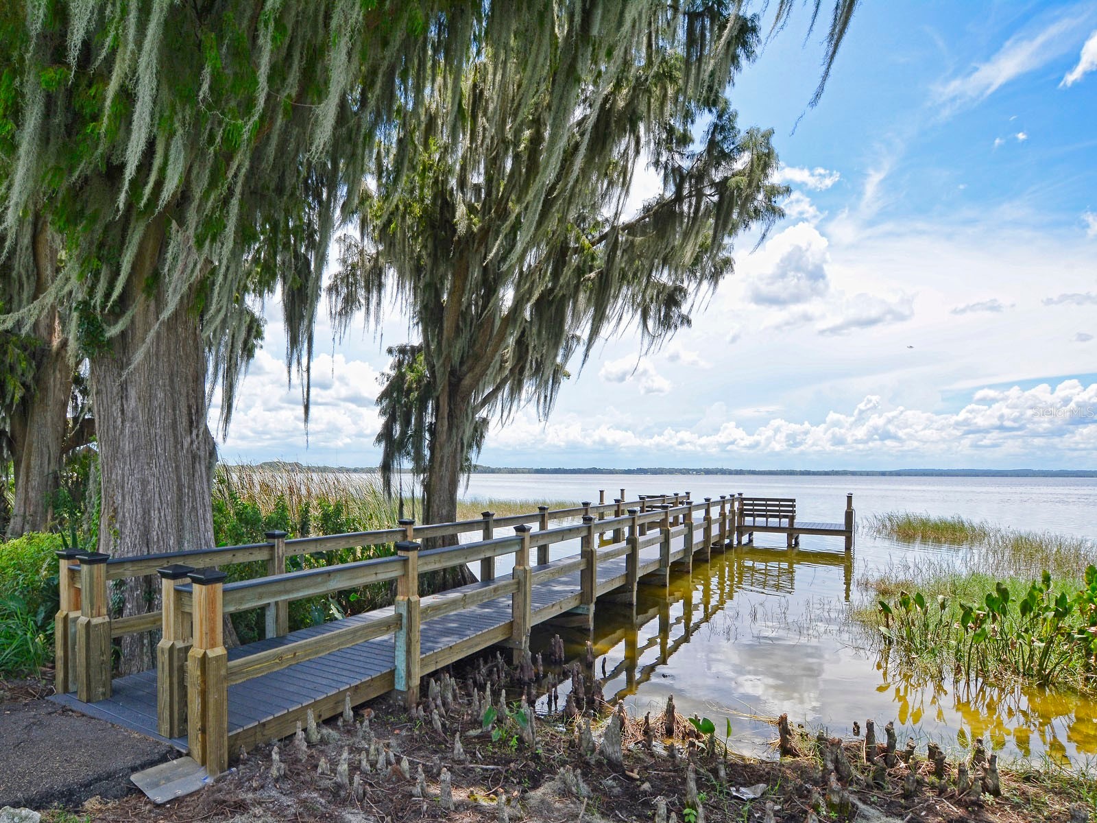 3257 Baltic Sea Boulevard Tavares FL 32778 - LITTLE LAKE HARRIS / CHAIN G5112738 image34