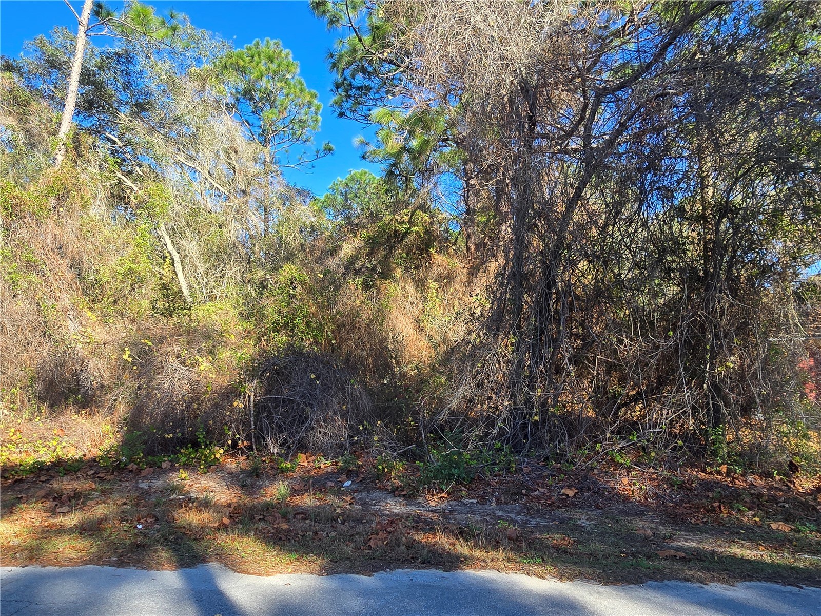 3257 E Kennedy Street Inverness FL 34453 OM716226 image1
