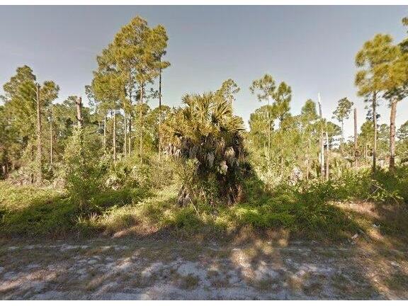 3258 Forghun Avenue SE Palm Bay FL 32909 O6011096 image1