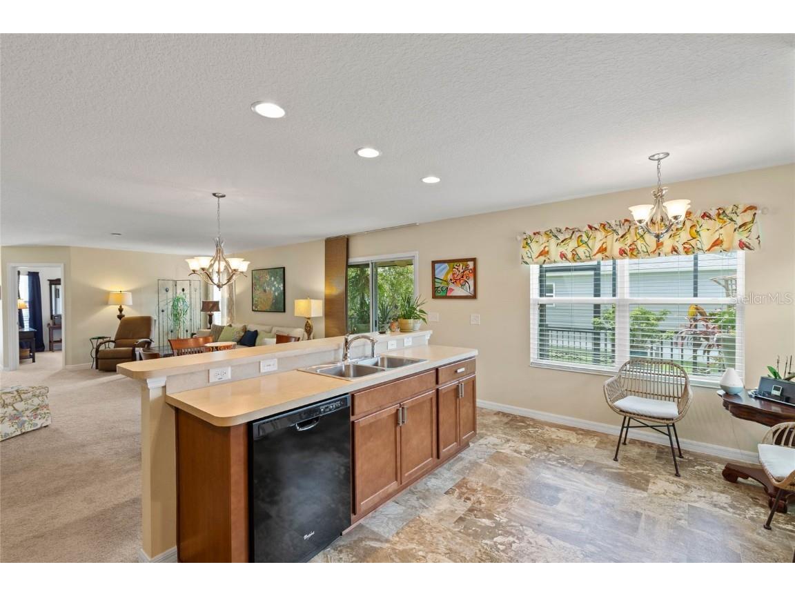 3258 Iiams Court The Villages FL 32163 G5100810 image11