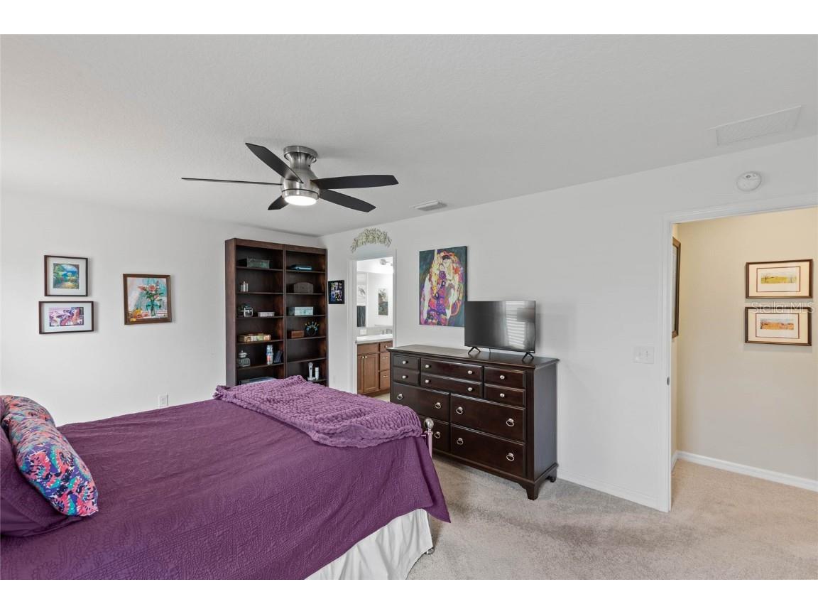 3258 Iiams Court The Villages FL 32163 G5100810 image19