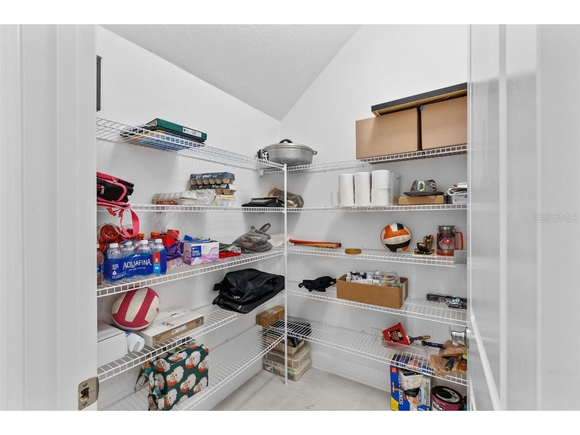 32588 Tree Of Life Avenue Wesley Chapel FL 33543 T3530655 image24