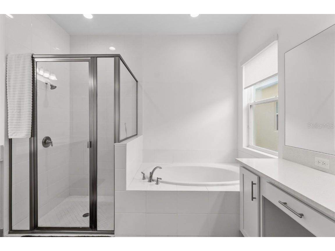 32588 Tree Of Life Avenue Wesley Chapel FL 33543 T3530655 image26