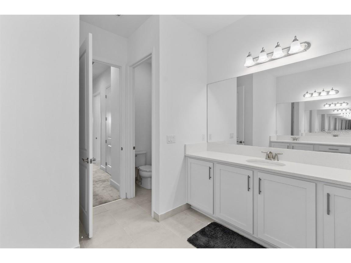 32588 Tree Of Life Avenue Wesley Chapel FL 33543 T3530655 image27