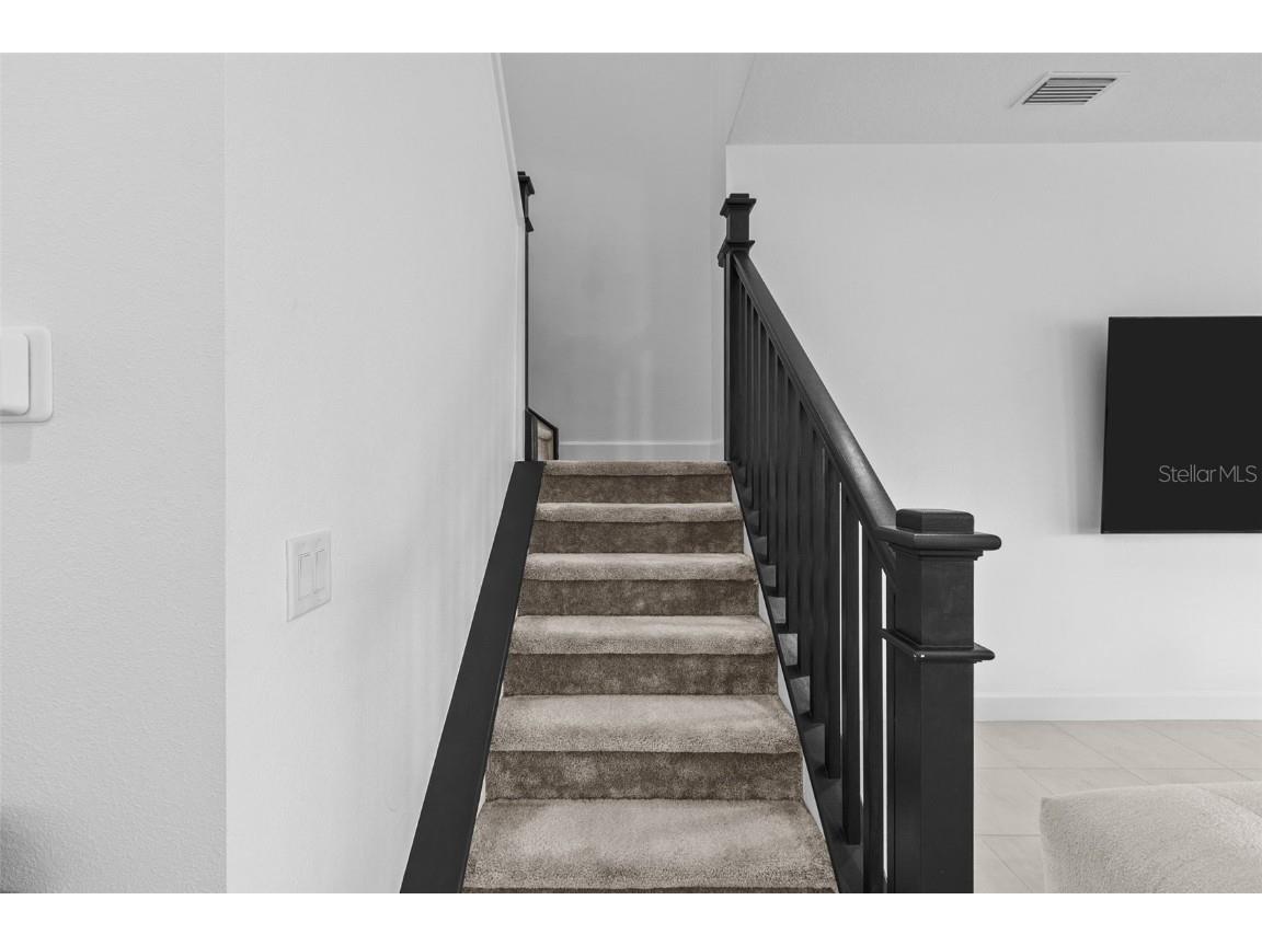 32588 Tree Of Life Avenue Wesley Chapel FL 33543 T3530655 image32