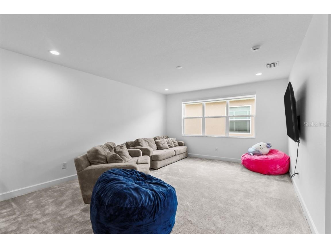 32588 Tree Of Life Avenue Wesley Chapel FL 33543 T3530655 image33