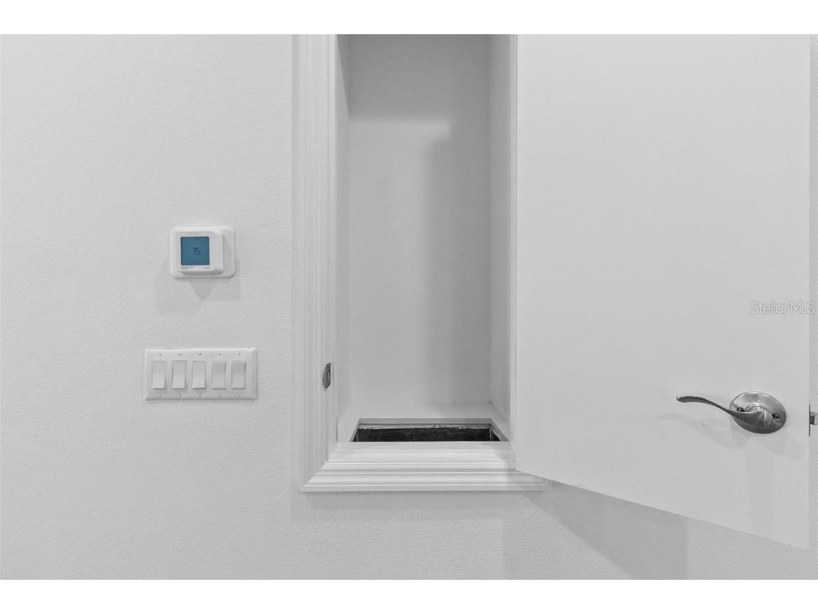 32588 Tree Of Life Avenue Wesley Chapel FL 33543 T3530655 image36