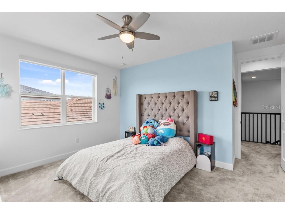 32588 Tree Of Life Avenue Wesley Chapel FL 33543 T3530655 image39