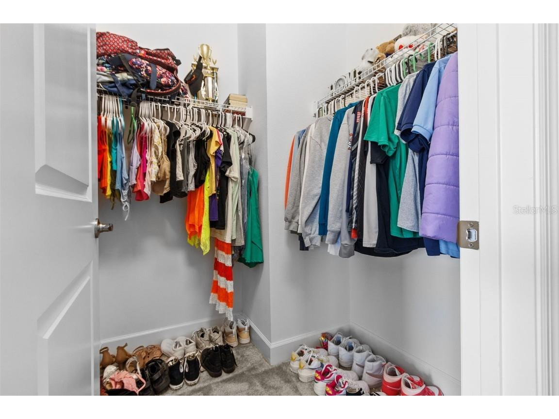 32588 Tree Of Life Avenue Wesley Chapel FL 33543 T3530655 image40