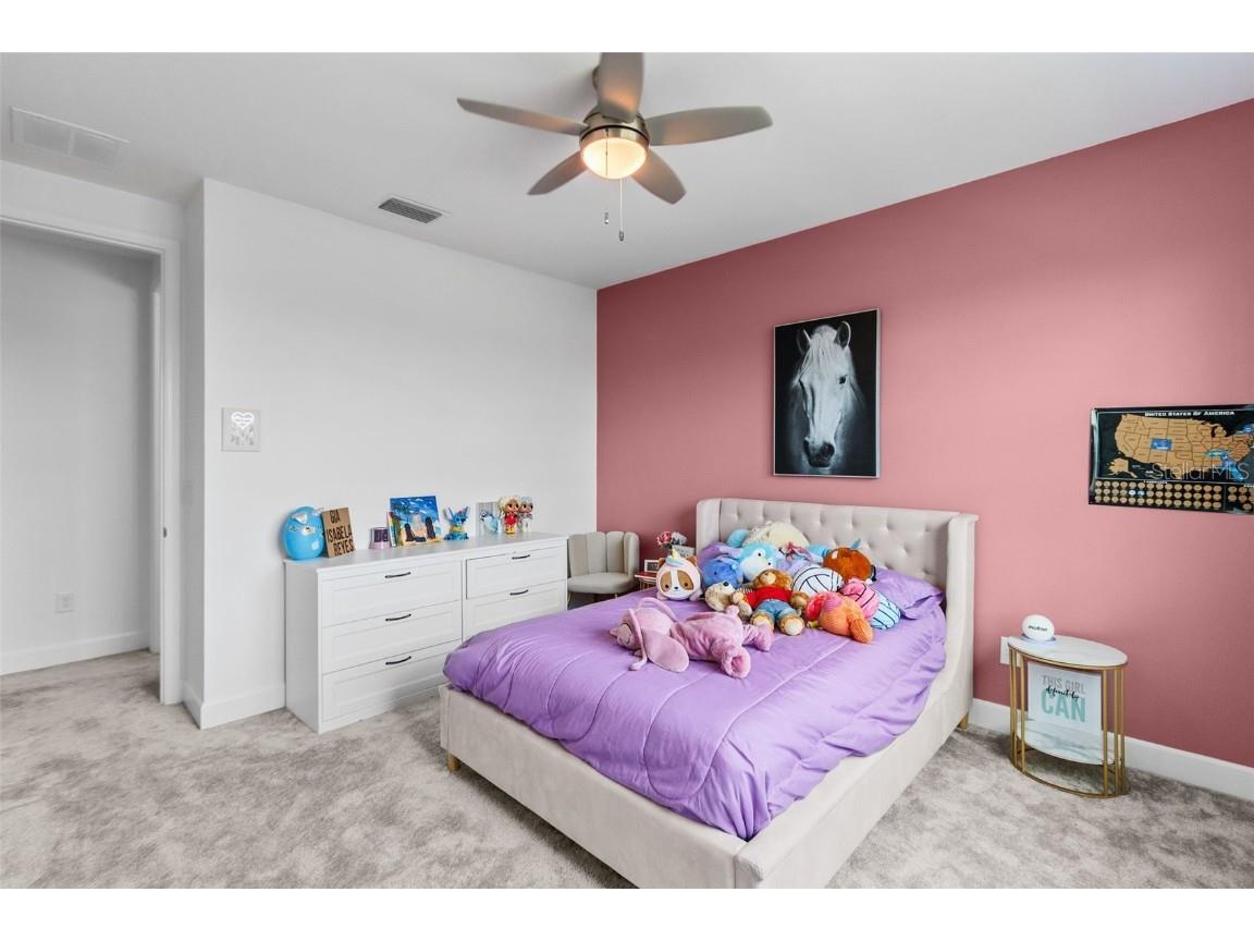 32588 Tree Of Life Avenue Wesley Chapel FL 33543 T3530655 image42