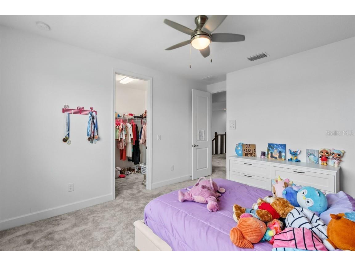 32588 Tree Of Life Avenue Wesley Chapel FL 33543 T3530655 image43