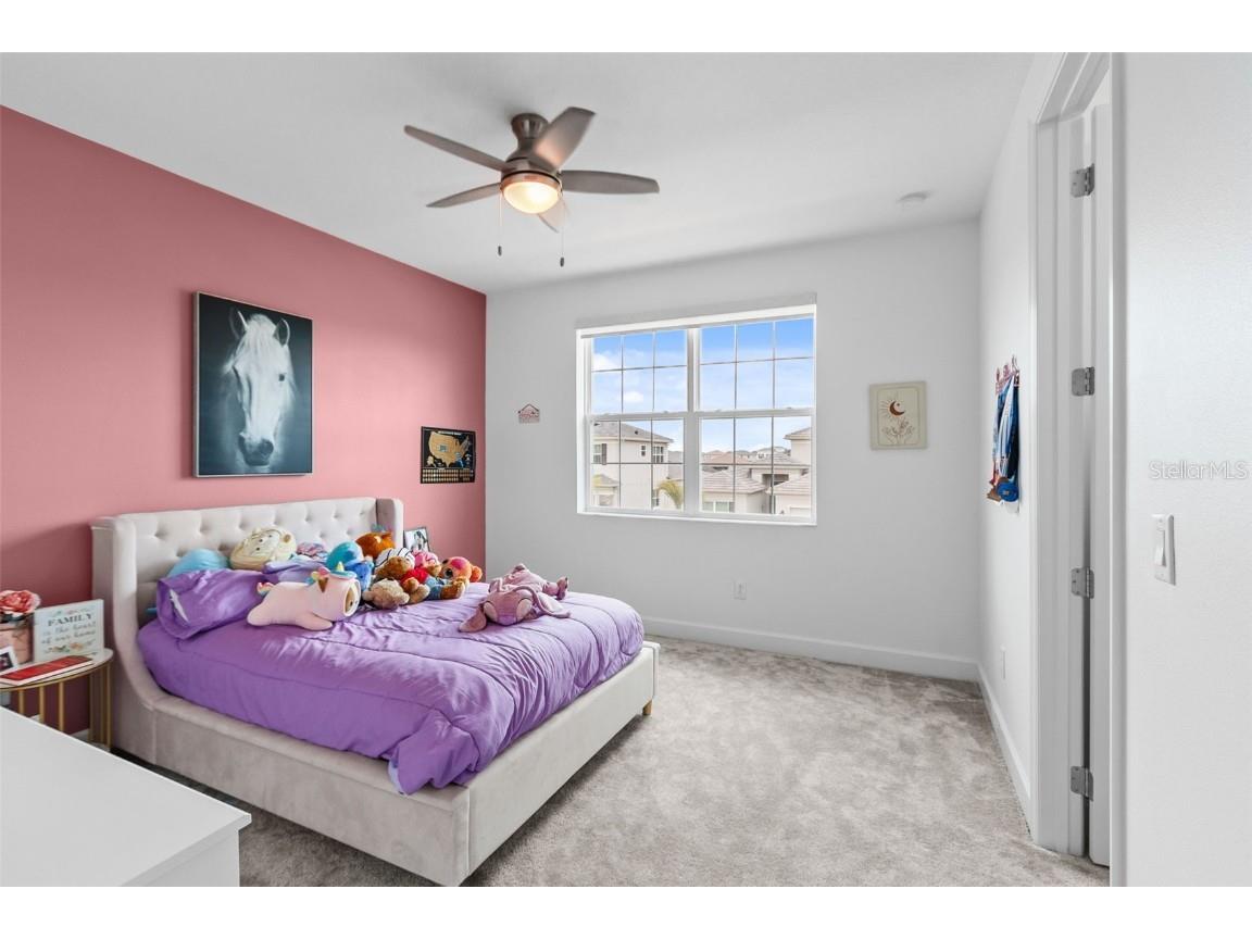 32588 Tree Of Life Avenue Wesley Chapel FL 33543 T3530655 image44