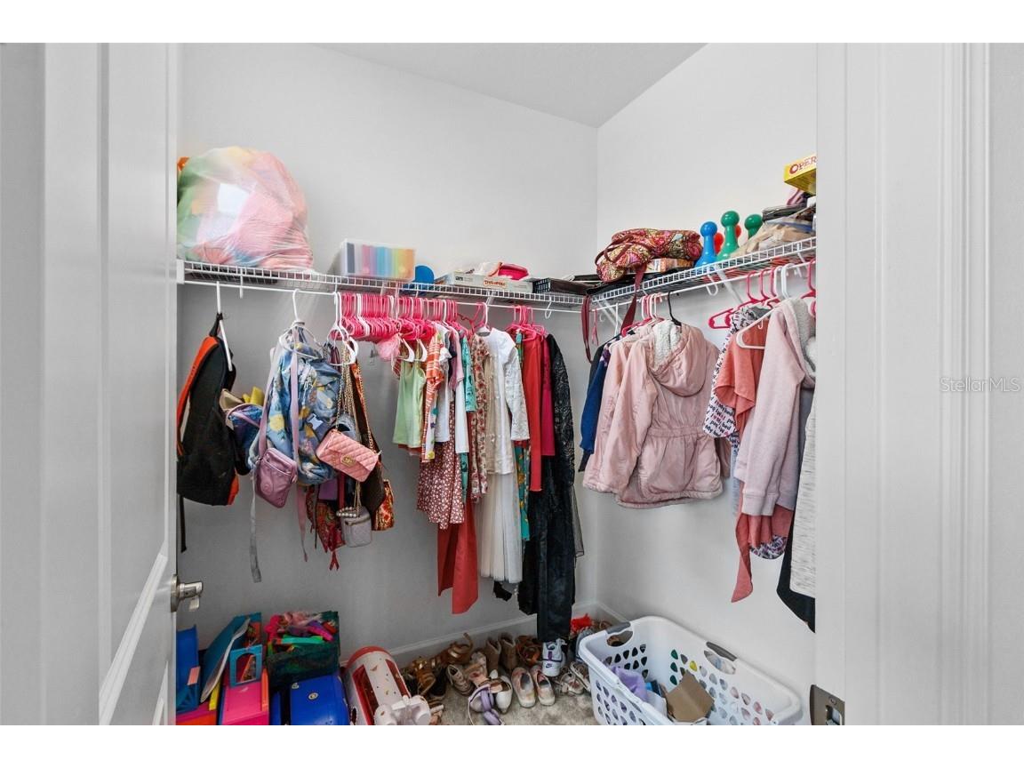 32588 Tree Of Life Avenue Wesley Chapel FL 33543 T3530655 image45