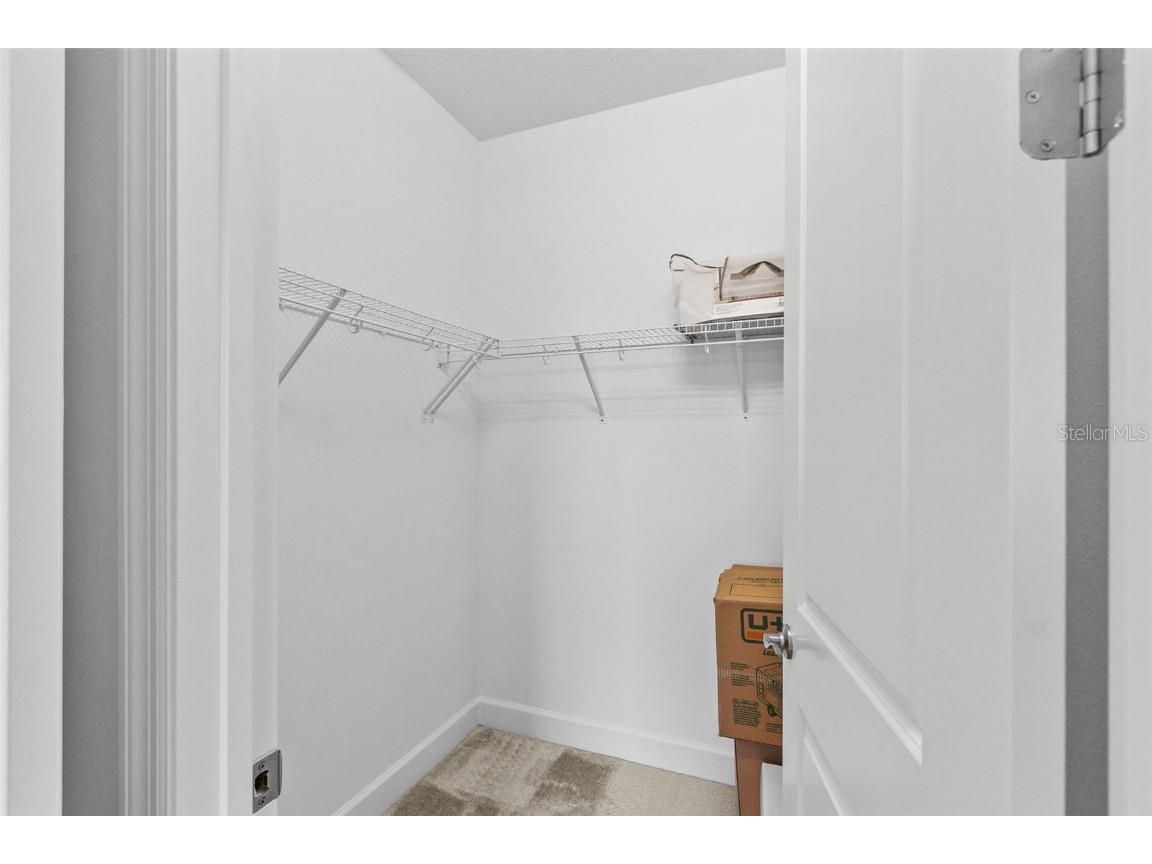 32588 Tree Of Life Avenue Wesley Chapel FL 33543 T3530655 image47