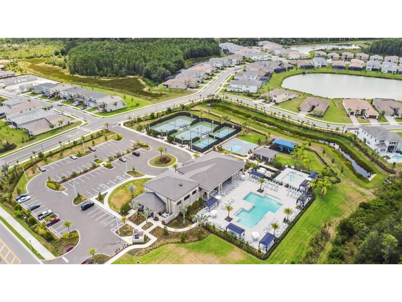 32588 Tree Of Life Avenue Wesley Chapel FL 33543 T3530655 image51