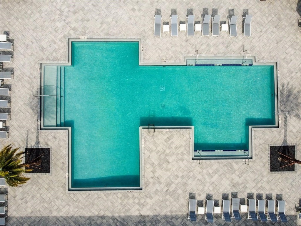 32588 Tree Of Life Avenue Wesley Chapel FL 33543 T3530655 image58