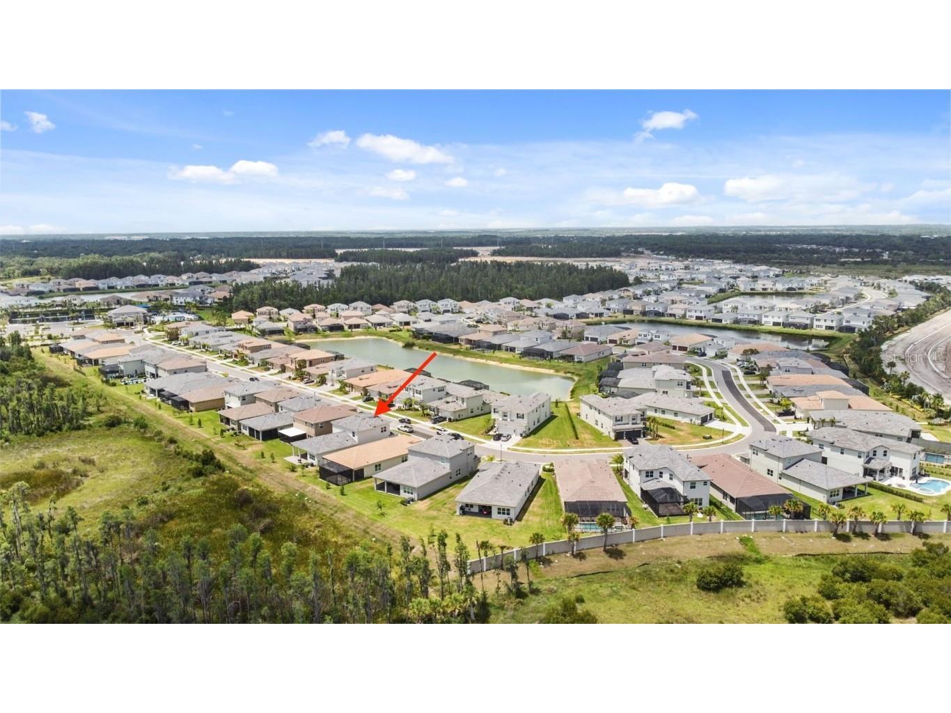 32588 Tree Of Life Avenue Wesley Chapel FL 33543 T3530655 image6