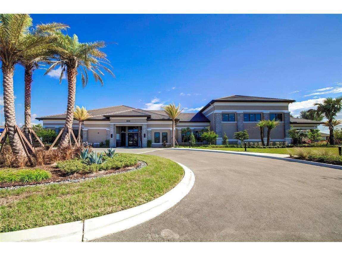 32588 Tree Of Life Avenue Wesley Chapel FL 33543 T3530655 image65