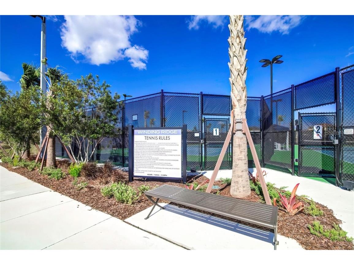 32588 Tree Of Life Avenue Wesley Chapel FL 33543 T3530655 image66