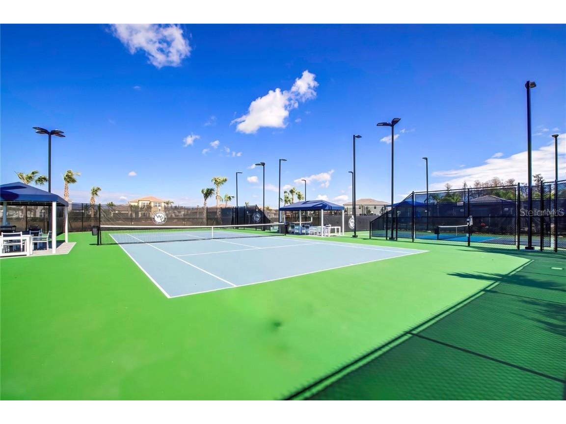 32588 Tree Of Life Avenue Wesley Chapel FL 33543 T3530655 image67