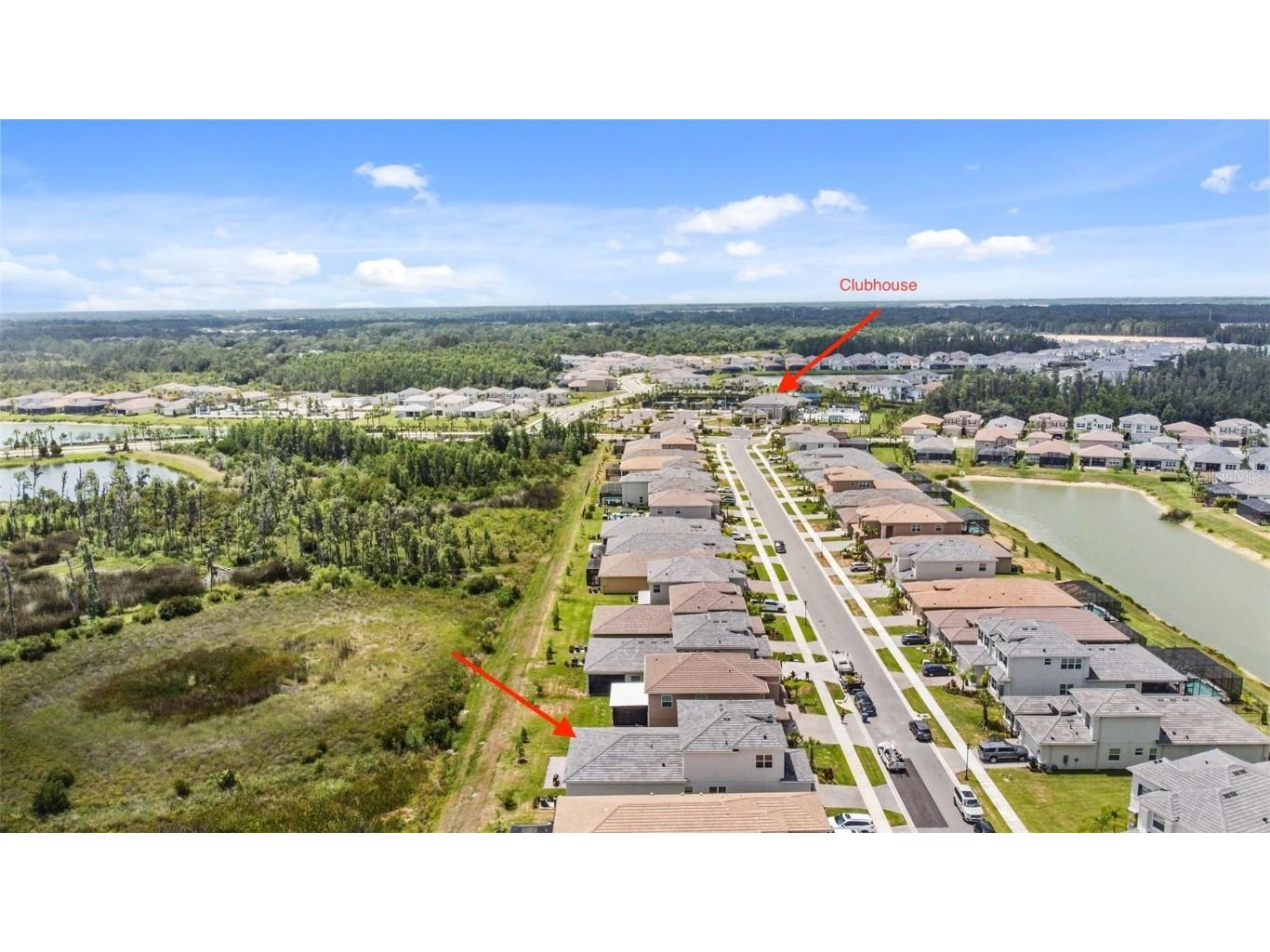 32588 Tree Of Life Avenue Wesley Chapel FL 33543 T3530655 image7