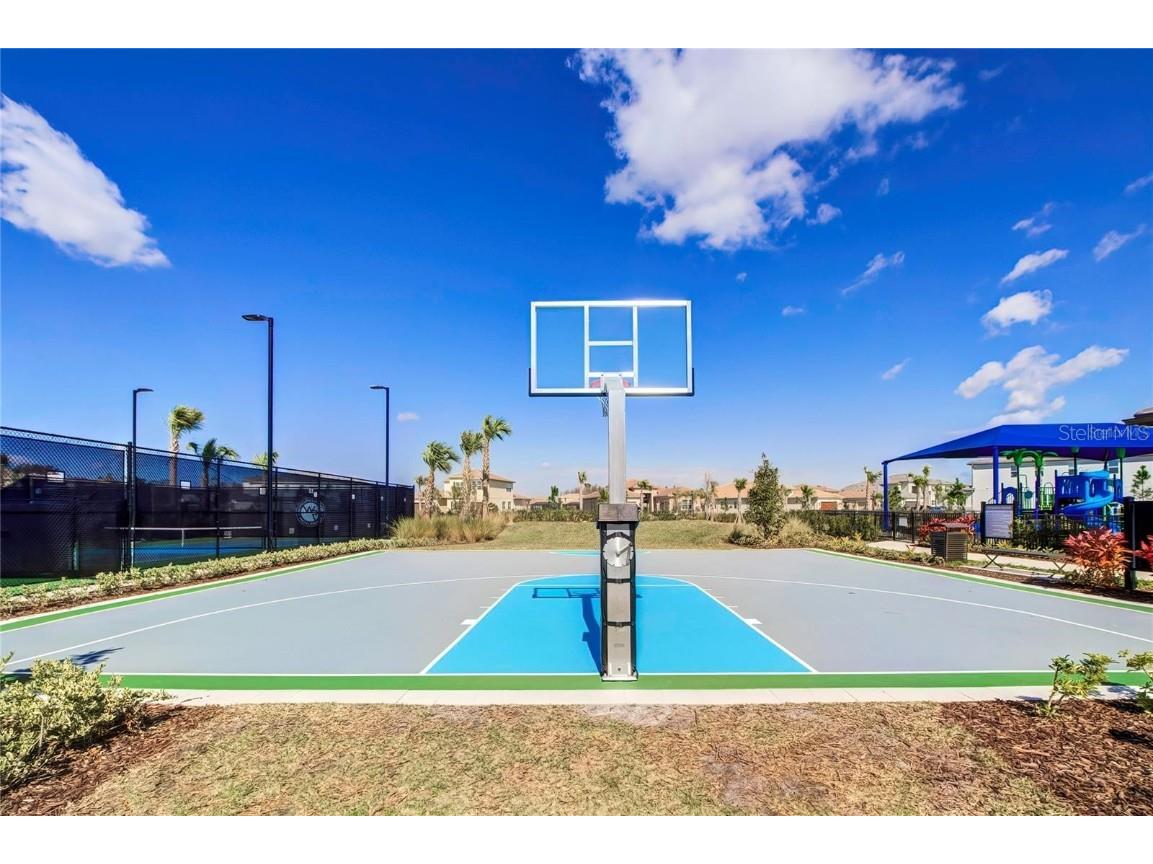 32588 Tree Of Life Avenue Wesley Chapel FL 33543 T3530655 image70