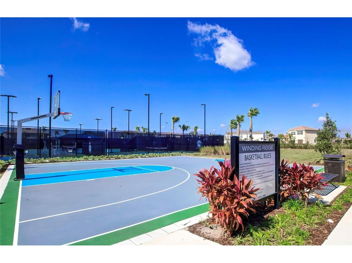 32588 Tree Of Life Avenue Wesley Chapel FL 33543 T3530655 image71