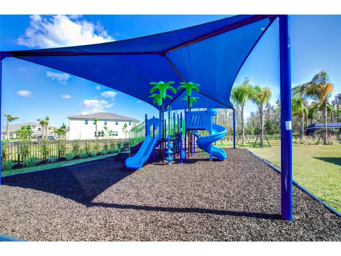 32588 Tree Of Life Avenue Wesley Chapel FL 33543 T3530655 image72