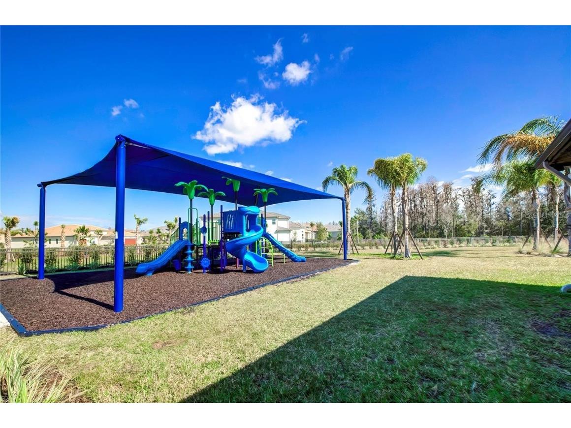 32588 Tree Of Life Avenue Wesley Chapel FL 33543 T3530655 image73