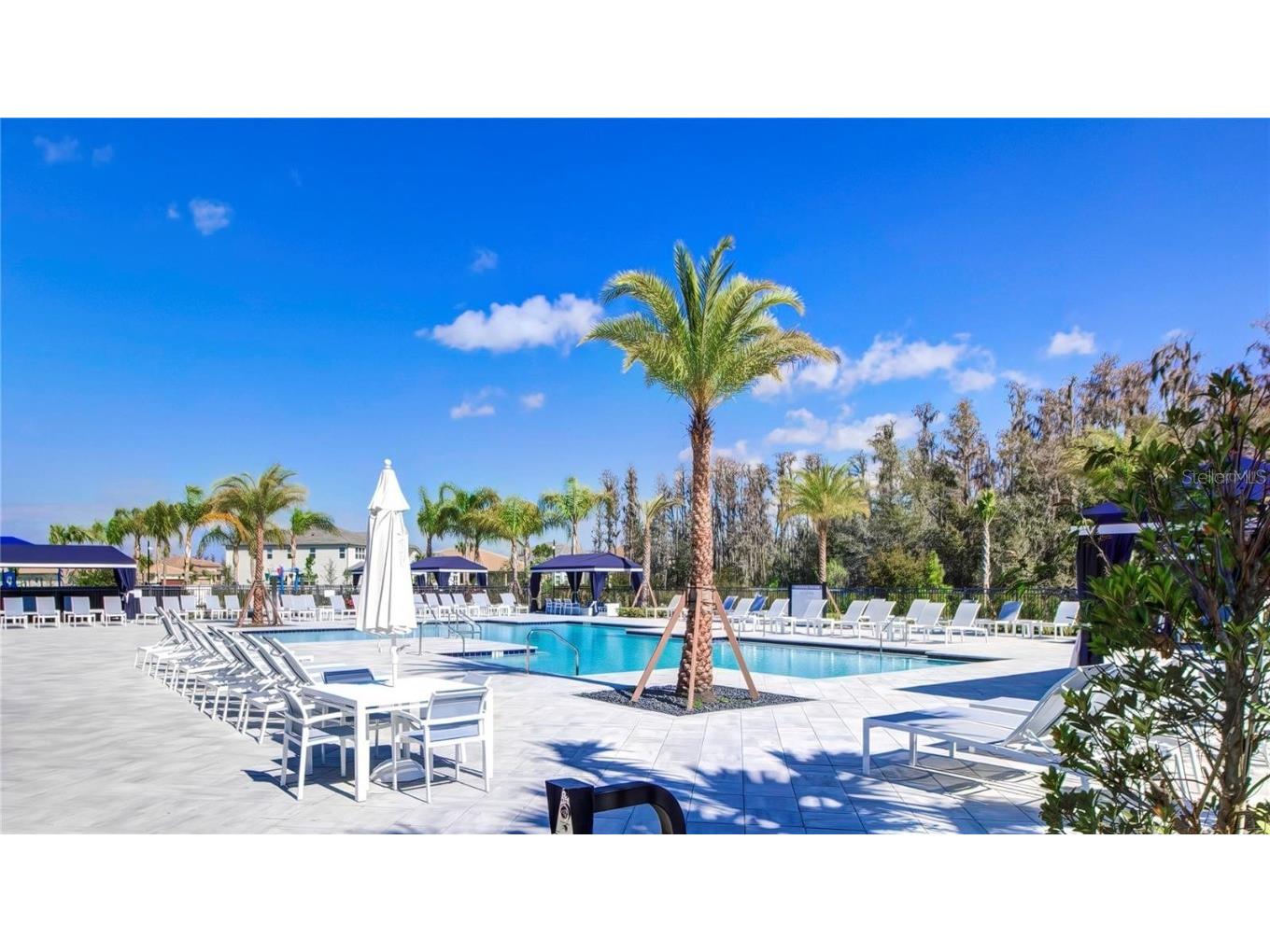 32588 Tree Of Life Avenue Wesley Chapel FL 33543 T3530655 image74