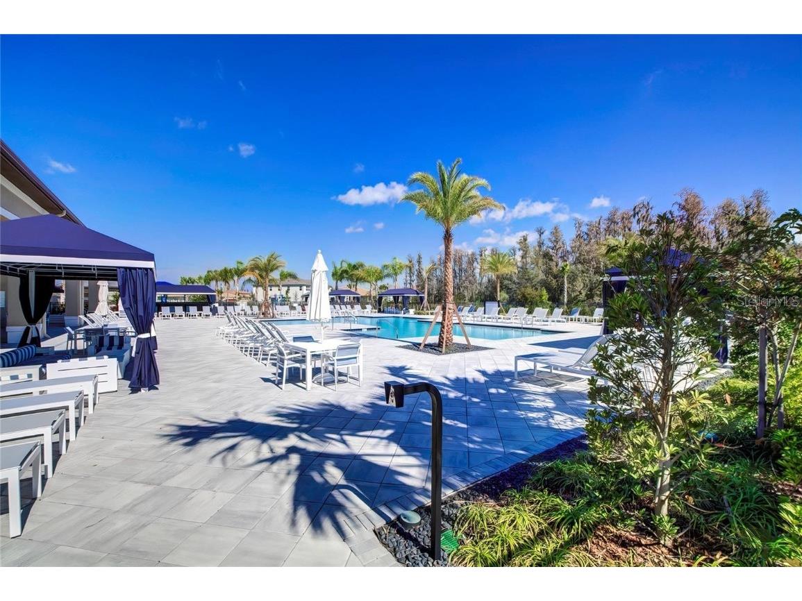 32588 Tree Of Life Avenue Wesley Chapel FL 33543 T3530655 image75