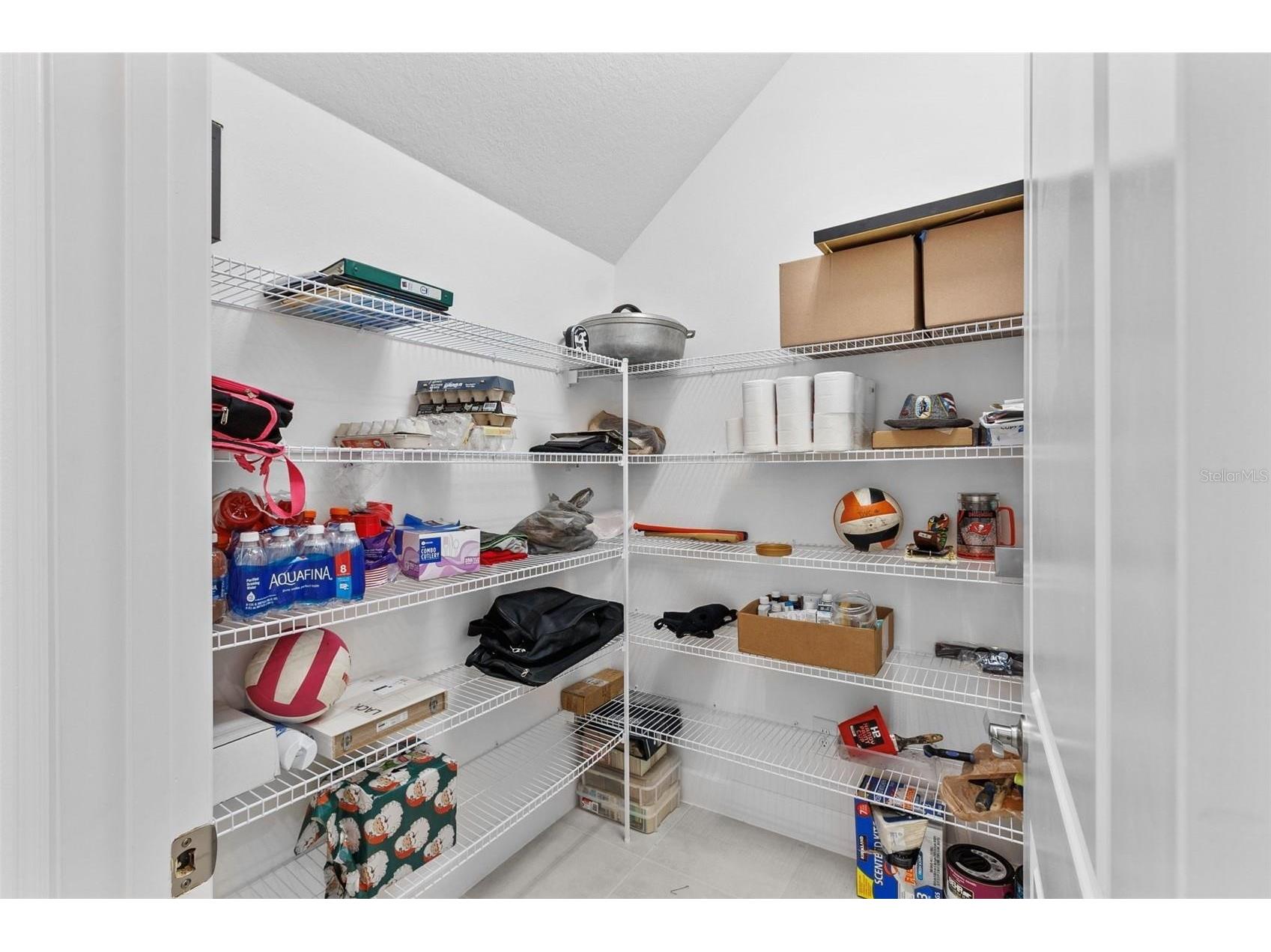 32588 Tree Of Life Avenue Wesley Chapel FL 33543 W7884190 image21